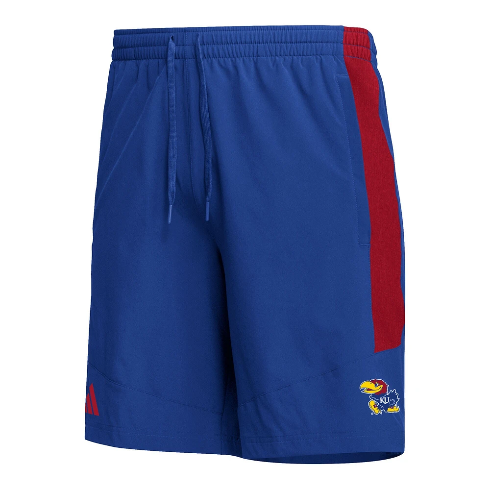 Short adidas Royal Kansas Jayhawks AEROREADY pour homme