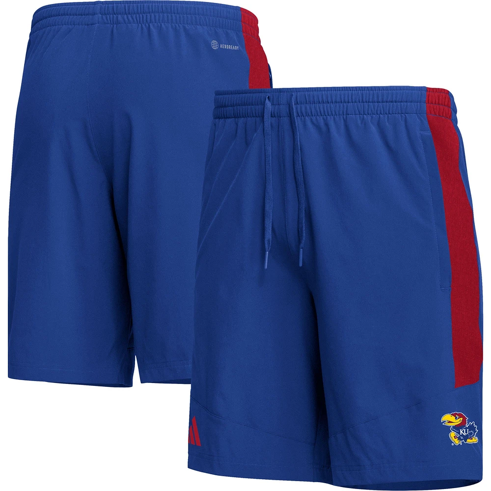 Short adidas Royal Kansas Jayhawks AEROREADY pour homme