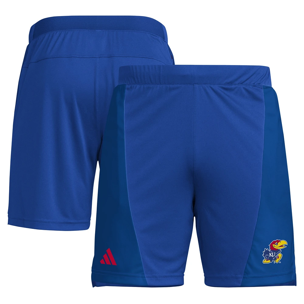 Short adidas Royal Kansas Jayhawks conçu pour l'entraînement 7" AEROREADY hommes