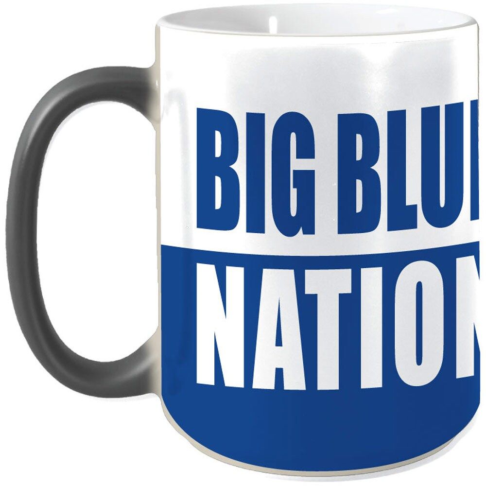 Kentucky Wildcats 15oz. Reveal Mug