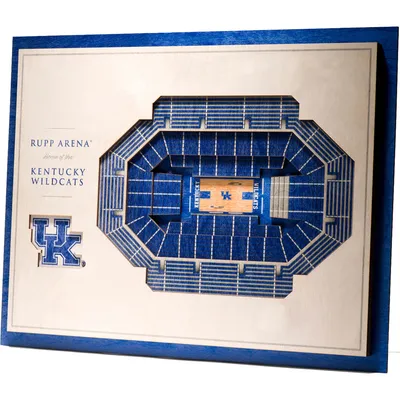 Kentucky Wildcats 17'' x 13'' 5-Layer StadiumViews 3D Wall Art
