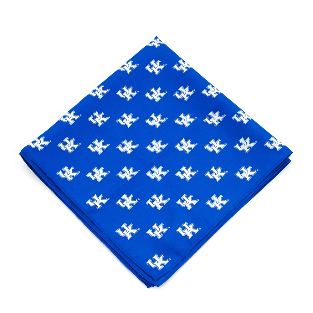 Kentucky Wildcats Kerchief Pocket Square