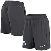 Men's Nike Anthracite Kentucky Wildcats 2024 Sideline Performance Shorts