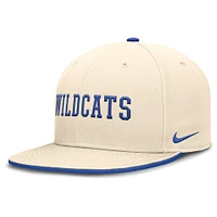 Men's Nike Natural Kentucky Wildcats Primetime True Performance Fitted Hat