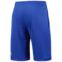 Men's Nike Royal Kentucky Wildcats Wordmark Performance Shorts