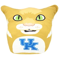 Coussin en peluche Pegasus Kentucky Wildcats avec caractéristiques