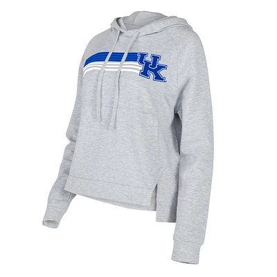 Chandail à capuchon raglan trois mélanges de cèdre des Wildcats du Kentucky Concepts Sport pour femme, gris