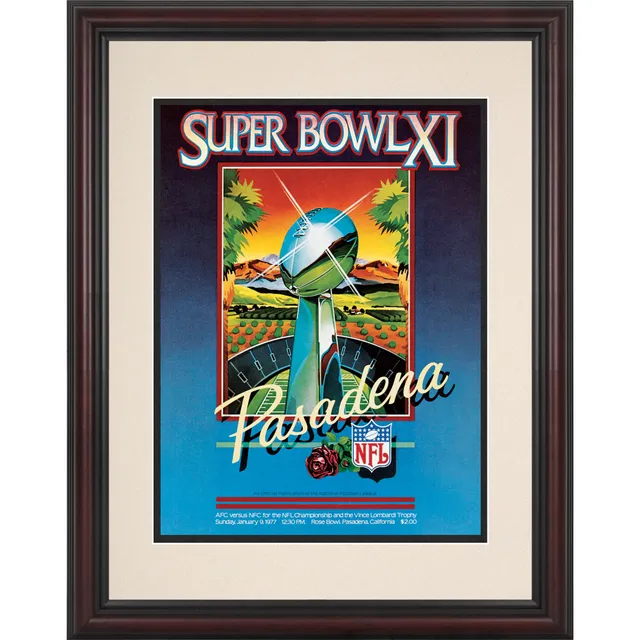 Pittsburgh Steelers Fanatics Authentic Framed Super Bowl Replica