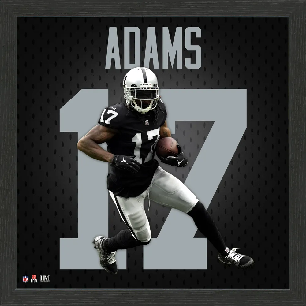 Lids Davante Adams Las Vegas Raiders Highland Mint 13'' x 13'' Jersey  Impact Frame