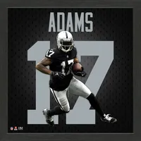 Lids Davante Adams Las Vegas Raiders WinCraft 2.5'' x 3.5'' Player