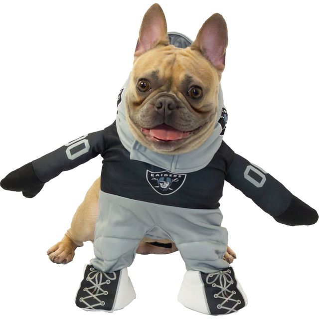 Jerry Leigh Tampa Bay Buccaneers Running Dog Costume Red