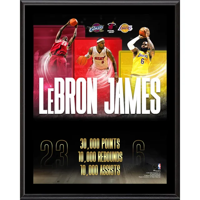 Lids LeBron James Los Angeles Lakers Fanatics Authentic 10.5 x 13