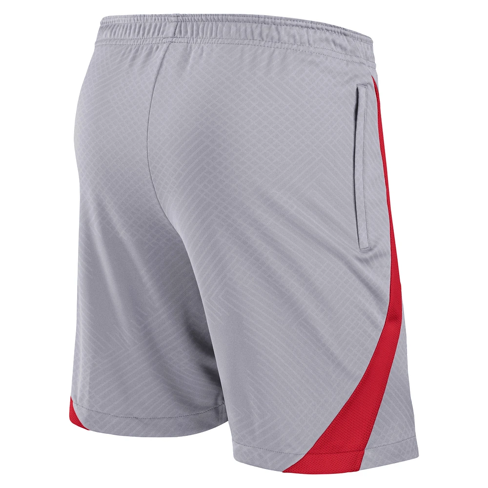 Men's Nike Gray Liverpool 2022/23 Strike Performance Shorts