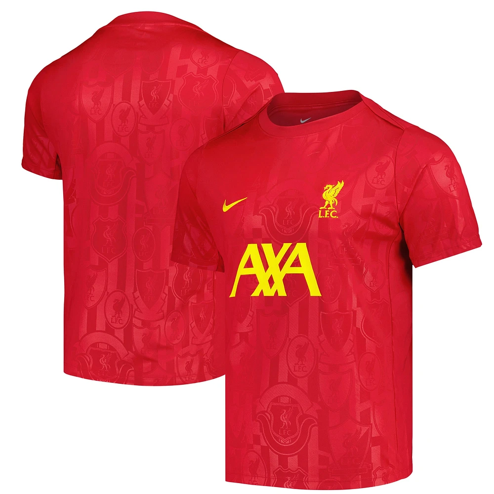 Men's Nike Red Liverpool 2024/25 Academy Pro Pre-Match Top