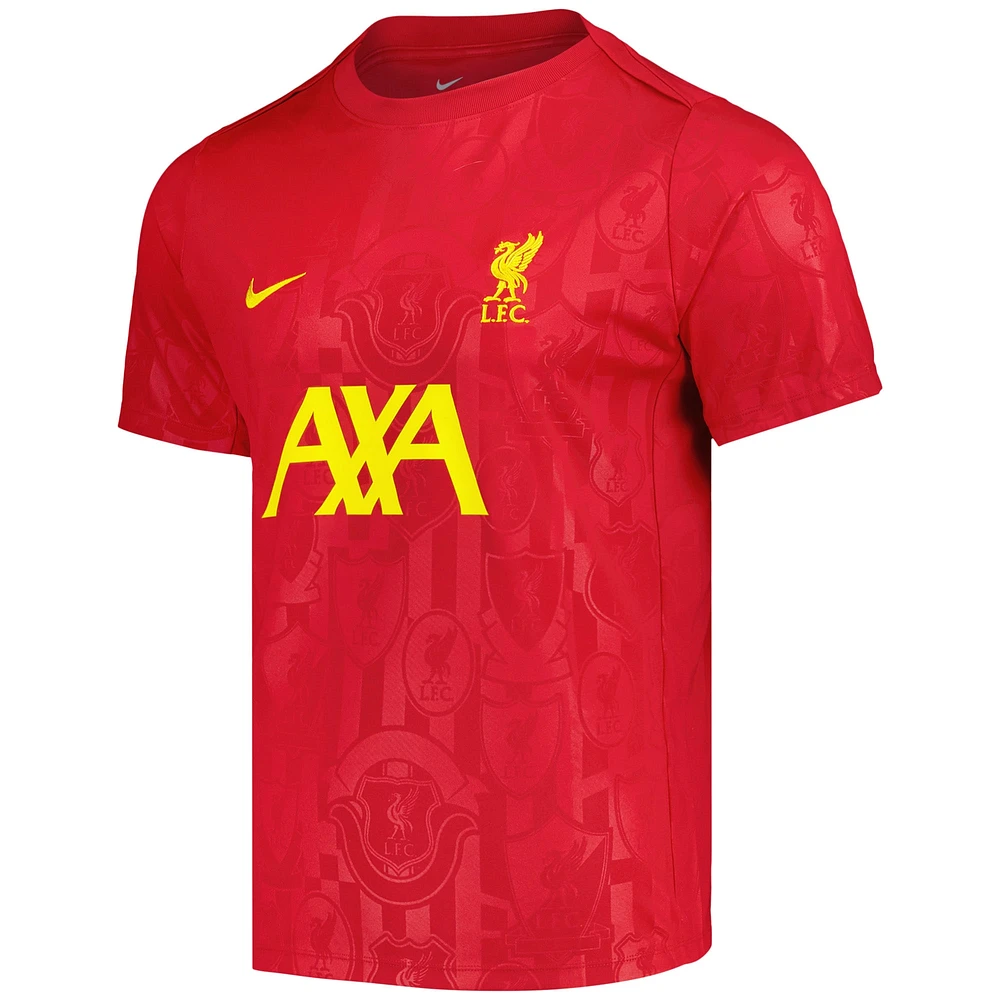 Men's Nike Red Liverpool 2024/25 Academy Pro Pre-Match Top