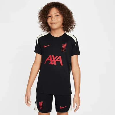 Youth Nike Liverpool 2024/25 Strike Training Performance Top