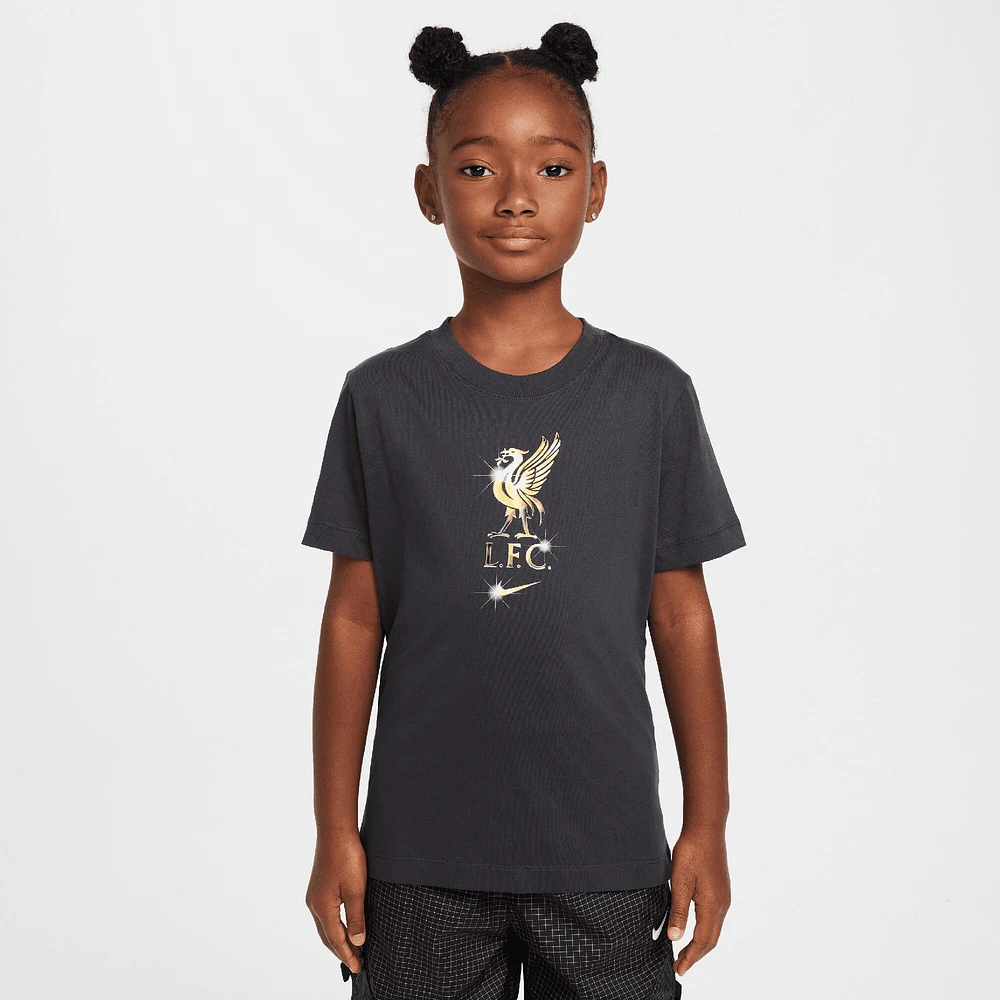 Youth Nike Gray Liverpool Crest T-Shirt