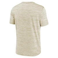Men's Nike  Cream Los Angeles Angels 2025 City Connect Authentic Collection Velocity Performance T-Shirt
