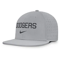 Men's Nike Gray Los Angeles Dodgers True Performance Fitted Hat