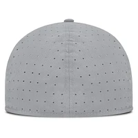 Men's Nike Gray Los Angeles Dodgers True Performance Fitted Hat