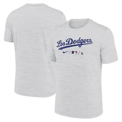 Los Angeles Dodgers Nike Authentic Collection Pregame Raglan