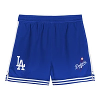 Preschool  Gray Los Angeles Dodgers Hitter Infielder 2-Piece Set