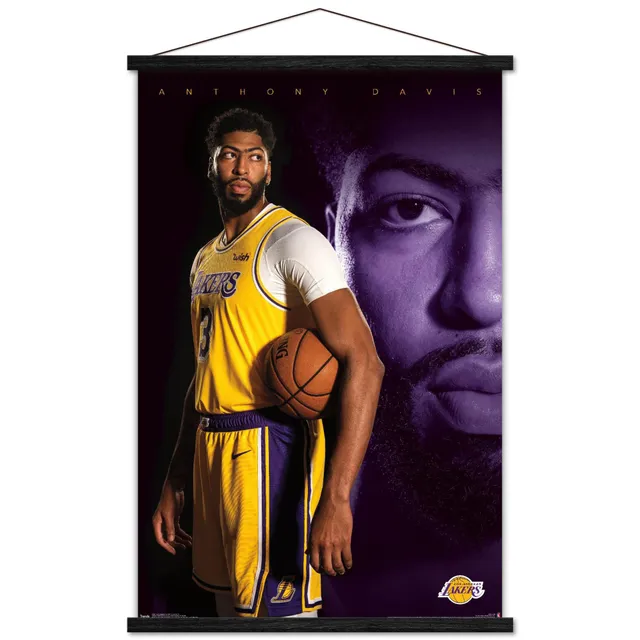 Los Angeles Lakers LeBron James Phenom Gallery 2020 NBA Champions 18'' x  24'' Team Logo Deluxe Framed Serigraph Print