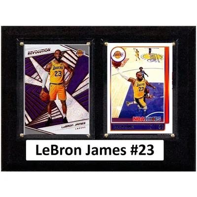 LeBron James Los Angeles Lakers 6'' x 8'' Player Plaque