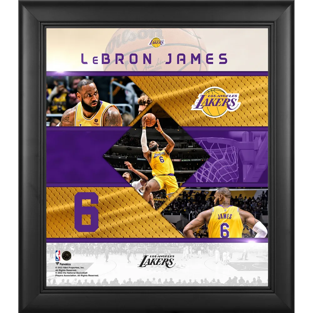 Lids LeBron James Los Angeles Lakers Fanatics Branded NBA All-Time