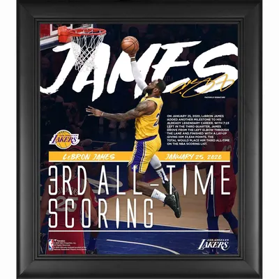 Lids LeBron James Los Angeles Lakers Fanatics Authentic Unsigned 2020 NBA  Finals and MVP Trophy Photograph