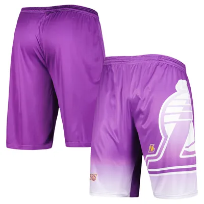 Mitchell & Ness Purple Los Angeles Lakers Hardwood Classics Lunar New Year Swingman Shorts Purple/Gold