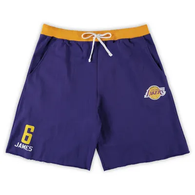 LeBron James Los Angeles Lakers Big & Tall French Terry Name Number Shorts - Purple