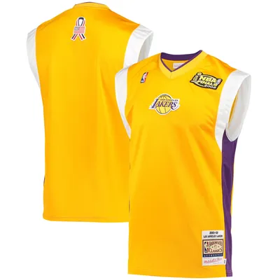 Lids Los Angeles Lakers Mitchell & Ness Hardwood Classics Big Tall On-Court  Shooting V-Neck Shirt - Gold/Purple