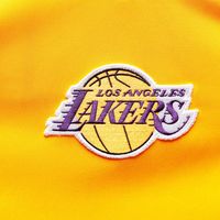 Men's Mitchell & Ness Gold Los Angeles Lakers 2002 NBA Finals Hardwood Classics On-Court Authentic Sleeveless Shooting Shirt