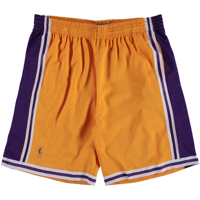 Lids Los Angeles Lakers Fanatics Branded Big & Tall Graphic Shorts - Purple