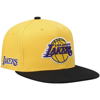 Men's Mitchell & Ness Purple Los Angeles Lakers Area Code Snapback Hat