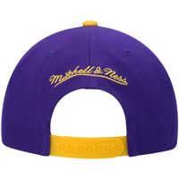 Men's Mitchell & Ness Purple/Gold Los Angeles Lakers Hardwood Classics Gradient Wordmark Snapback Hat