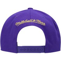 Men's Mitchell & Ness Purple Los Angeles Lakers 50th Anniversary Snapback Hat