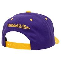 Casquette Snapback Violet Los Angeles Lakers All In 2.0 Pro Crown pour hommes