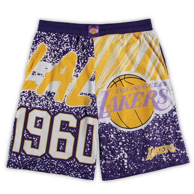 Los Angeles Lakers Mitchell & Ness Youth Hardwood Classics Big Face 5.0  Shorts - Gold/Purple