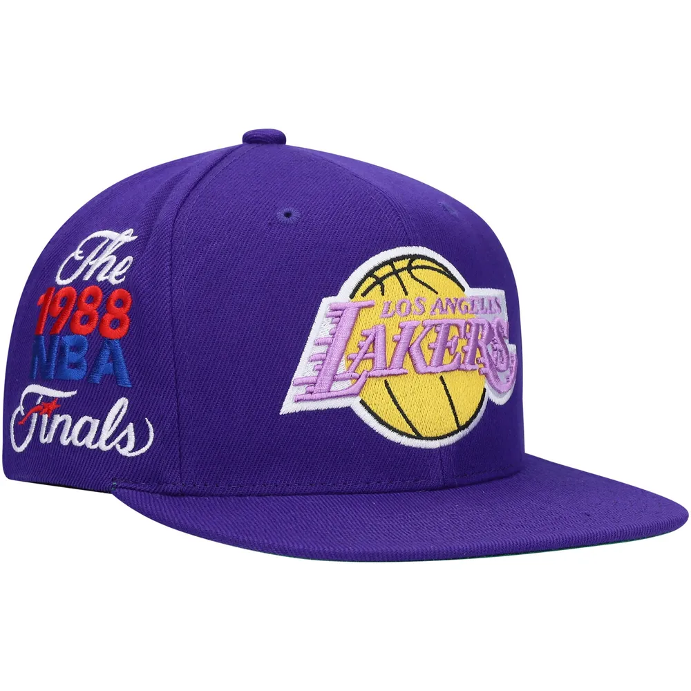 Men's Los Angeles Lakers Purple Mitchell & Ness Hardwood Classics