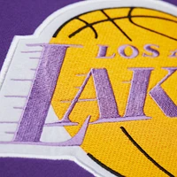 Men's Mitchell & Ness Purple Los Angeles Lakers Hardwood Classics Team Origins Fleece Pullover Hoodie
