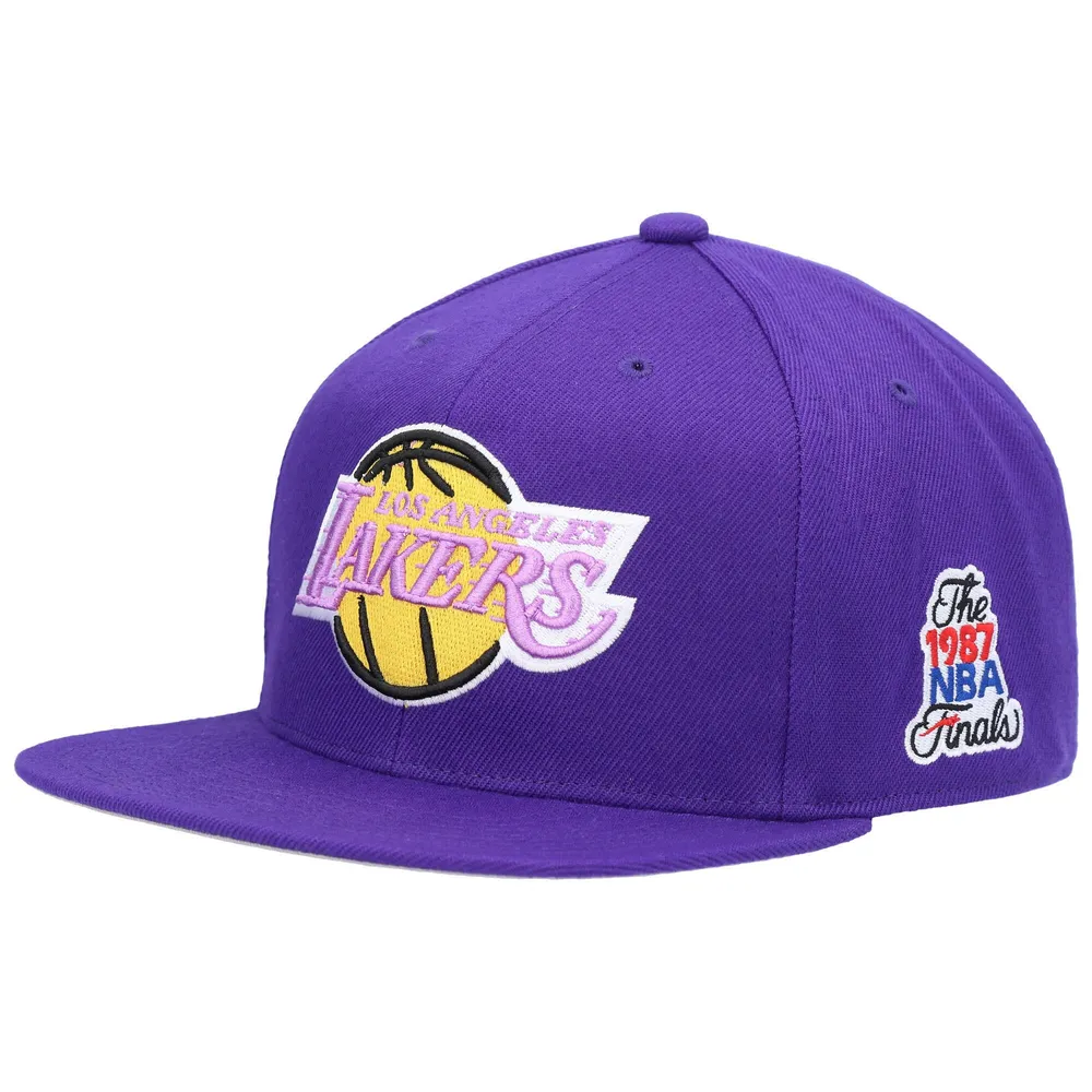 Mitchell & Ness Men's Gold, Purple Los Angeles Lakers Hardwood