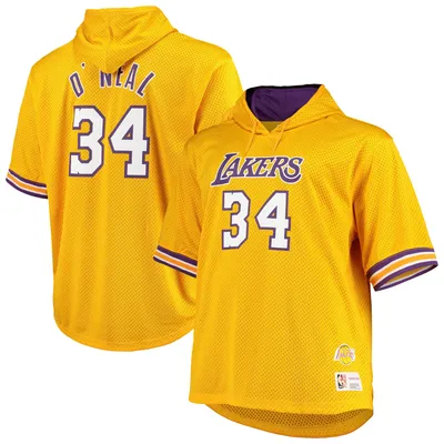 Men's Mitchell & Ness Purple Los Angeles Lakers Hardwood Classics Buzzer Beater Mesh Pullover Hoodie