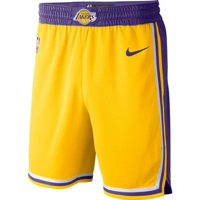 Los Angeles Lakers Nike Youth Icon Edition Mesh Performance