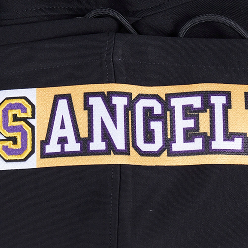 Sweat à capuche logo fendu Pro Standard pour homme, noir, Los Angeles Lakers