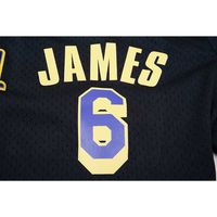 Men's Pro Standard LeBron James Black Los Angeles Lakers Player Name & Number - Mesh Shorts