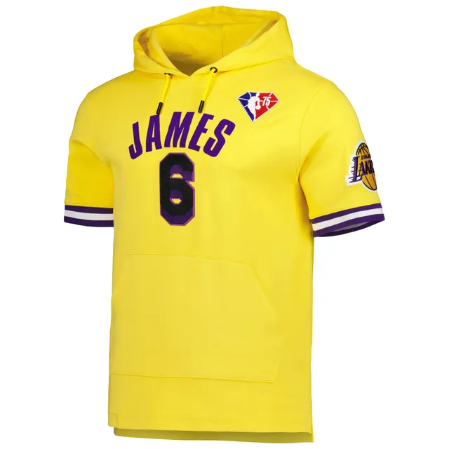 Nike Men's Nike LeBron James Heathered Gray Los Angeles Lakers Essential  Name & Number - Pullover Hoodie