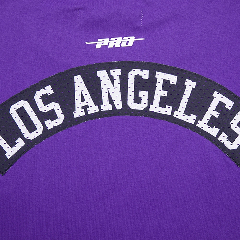 Men's Pro Standard Purple Los Angeles Lakers Made To Play Drop Shoulder T-Shirt