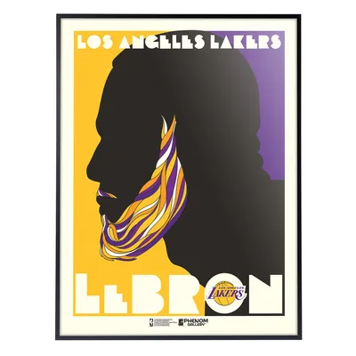 LeBron James Los Angeles Lakers Phenom Gallery 18'' x 24'' Deluxe Framed Serigraph Art Print